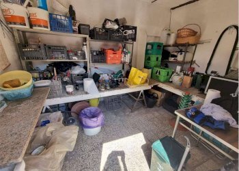 DeWatermark.ai_1732723324707.png - Casa semi indipendente Sarzana - foto 6