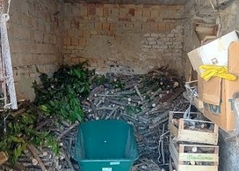 20240717_155402.jpg - Casa indipendente Località Melone 29, Guardiagrele - foto 21