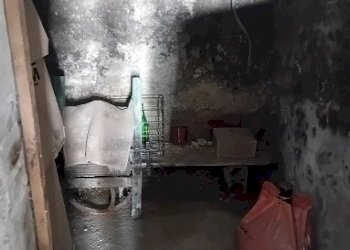 20240717_155451.jpg - Casa indipendente Località Melone 29, Guardiagrele - foto 23