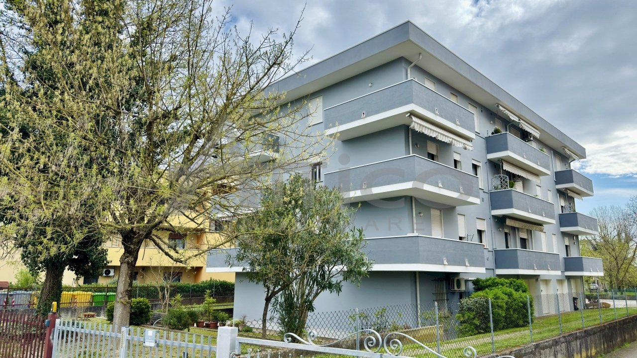 IMG_2581.jpeg - Appartamento Via V. Chiarugi 120/B, Rovigo - foto 1