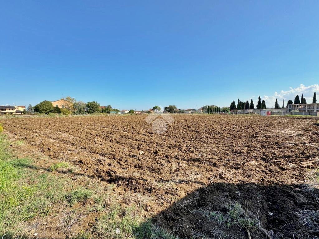 Terreno agricolo Via roma, San Clemente - foto 2