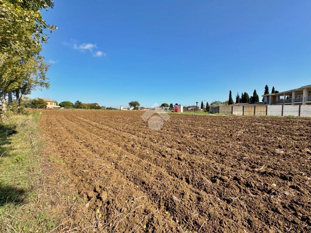 Terreno agricolo Via roma, San Clemente - foto 3