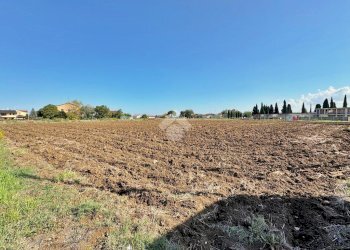 Terreno agricolo Via roma, San Clemente - foto 5