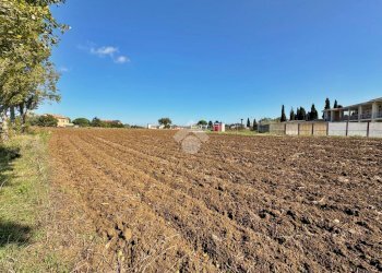 Terreno agricolo Via roma, San Clemente - foto 8
