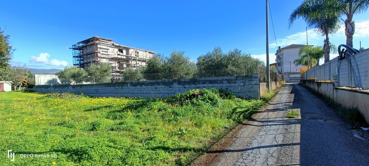 IMG20241206111547.jpg - Terreno edificabile Via delle Vigne, Lamezia Terme - foto 2