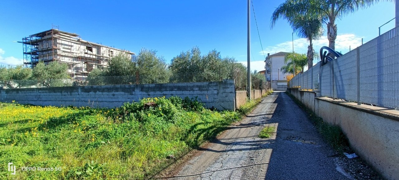 IMG20241206111552.jpg - Terreno edificabile Via delle Vigne, Lamezia Terme - foto 3