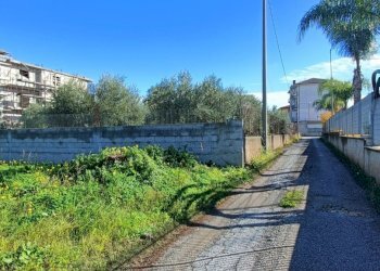 IMG20241206111552.jpg - Terreno edificabile Via delle Vigne, Lamezia Terme - foto 3