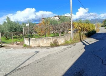 IMG20241206111706.jpg - Terreno edificabile Via delle Vigne, Lamezia Terme - foto 5