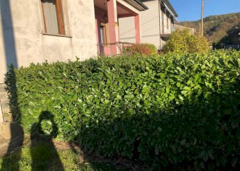 Casa indipendente Fivizzano - foto 25