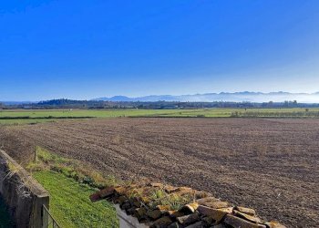 Casale Bene Vagienna - photo 15