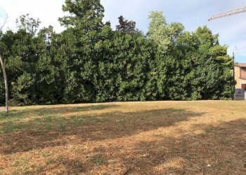 Terreno edificabile Strada Canaletto, Bastiglia - foto 3