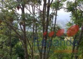 Porzione di casa Gaggio Montano - foto 11