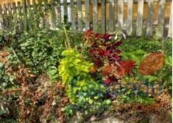 Porzione di casa Gaggio Montano - foto 13