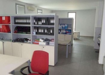 Capannone Soliera - foto 4