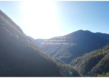 Vista - Independent house Località Solgia, Valle Cannobina - photo 8