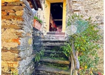 Giardino - Casa indipendente Località Solgia, Valle Cannobina - foto 21