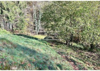 Terreno - Independent house Località Solgia, Valle Cannobina - photo 36