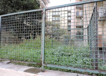 Giardino - Cafeteria - Cold Bar via Generale Manfredo Fanti, Genova (neighborhood Sampierdarena) - photo 11