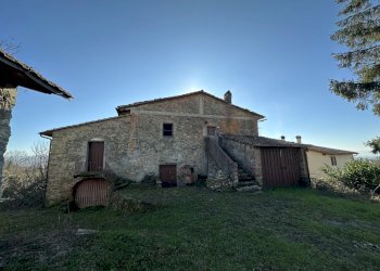 2svezzanocolonica.jpg - Casale Vicchio - foto 2