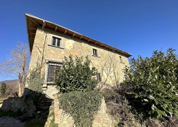 5svezzanocolonica.jpg - Casale Vicchio - foto 5