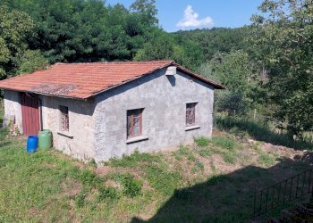 6svezzanocolonica.jpg - Casale Vicchio - foto 6