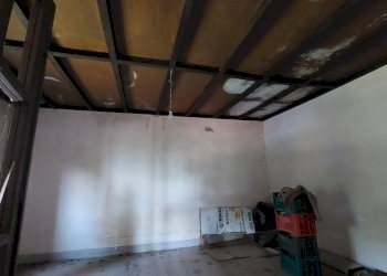 9svezzanoclonica.jpg - Casale Vicchio - foto 9