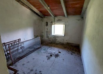 10svezzanocolonica.jpg - Casale Vicchio - foto 10