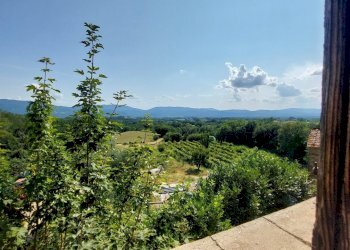 23svezzanocolonica.jpg - Casale Vicchio - foto 23