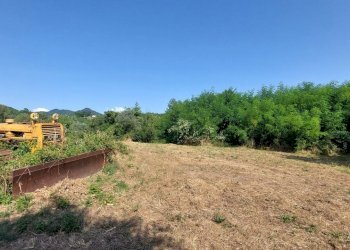 24svezzanocolonica.jpg - Casale Vicchio - foto 24