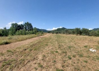 26svezzanocolonica.jpg - Casale Vicchio - foto 26