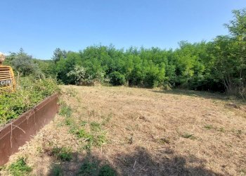 27svezzanocolonica.jpg - Casale Vicchio - foto 27