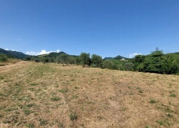 28svezzanocolonica.jpg - Casale Vicchio - foto 28