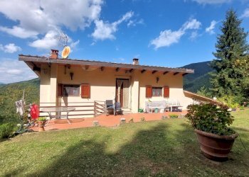 1rincineindipendente.jpg - Casa Colonica Strada Statale Stia - Londa 7, Londa - foto 1