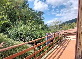 3rincineindipendente.jpg - Casa Colonica Strada Statale Stia - Londa 7, Londa - foto 3