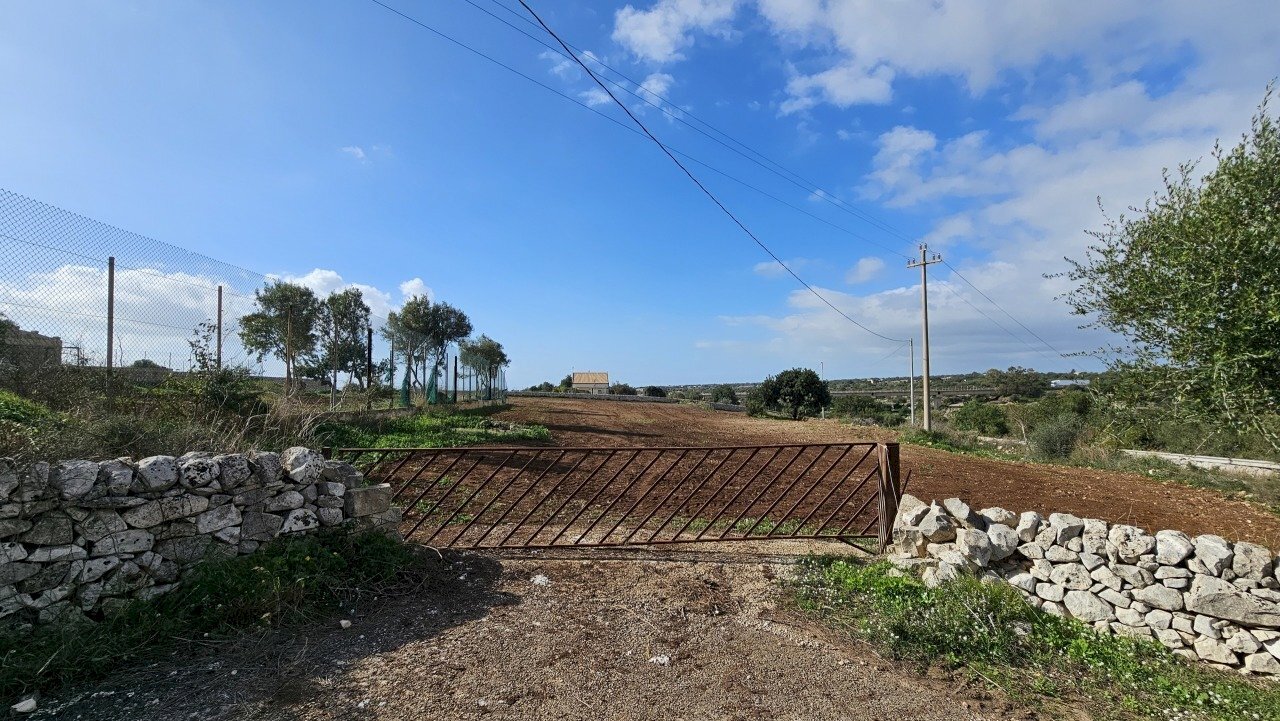 20241122_103635.jpg - Terreno agricolo Via Sorda Sampieri km. 3, Modica - foto 3