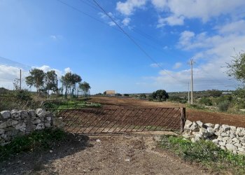 20241122_103635.jpg - Terreno agricolo Via Sorda Sampieri km. 3, Modica - foto 3