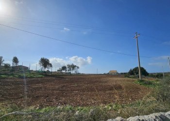 20241122_103725.jpg - Terreno agricolo Via Sorda Sampieri km. 3, Modica - foto 5