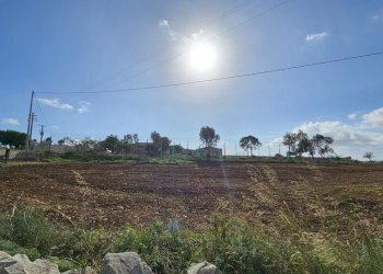 20241122_103741.jpg - Terreno agricolo Via Sorda Sampieri km. 3, Modica - foto 6