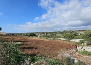 20241122_103829.jpg - Terreno agricolo Via Sorda Sampieri km. 3, Modica - foto 7