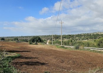 20241122_103830.jpg - Terreno agricolo Via Sorda Sampieri km. 3, Modica - foto 8