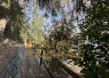 IMG_2548.jpg - Villa Via Lago Azzurro 34, Premeno - foto 3