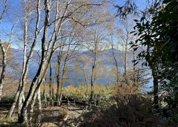 IMG_2549.jpg - Villa Via Lago Azzurro 34, Premeno - foto 5