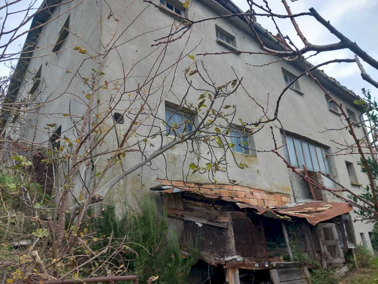 WhatsApp Image 2024-11-28 at 3.16.41 PM (2).jpeg - Terreno agricolo Via Savignano di Rigo Cicognaia 2, Sogliano al Rubicone - foto 2