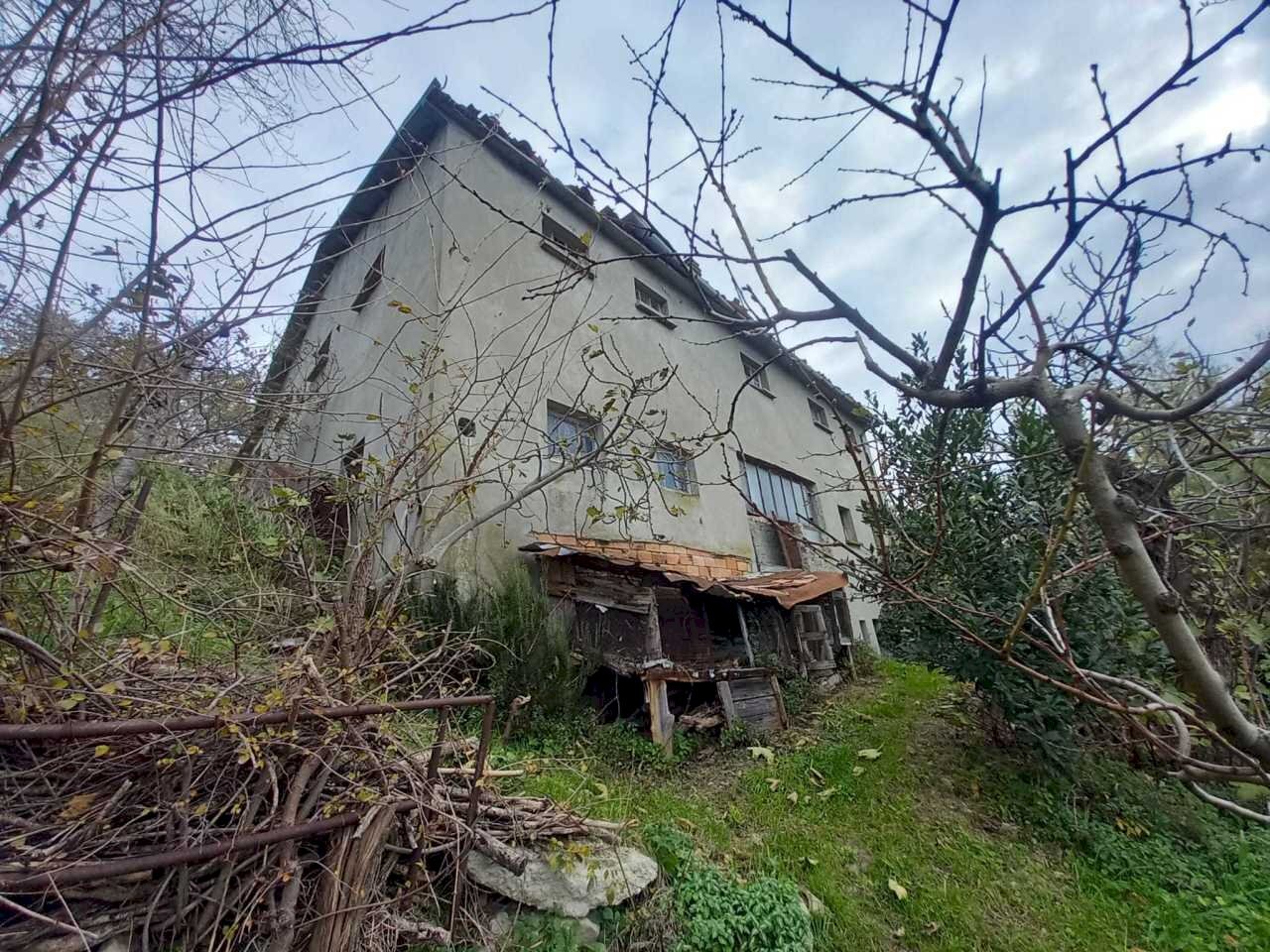 WhatsApp Image 2024-11-28 at 3.16.41 PM (1).jpeg - Terreno agricolo Via Savignano di Rigo Cicognaia 2, Sogliano al Rubicone - foto 3