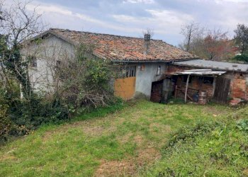 WhatsApp Image 2024-11-28 at 3.16.41 PM (5).jpeg - Terreno agricolo Via Savignano di Rigo Cicognaia 2, Sogliano al Rubicone - foto 1