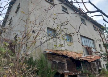 WhatsApp Image 2024-11-28 at 3.16.41 PM (2).jpeg - Terreno agricolo Via Savignano di Rigo Cicognaia 2, Sogliano al Rubicone - foto 2