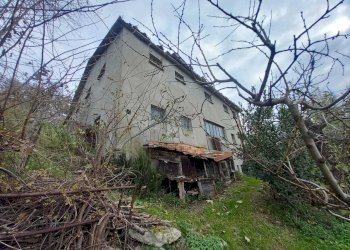 WhatsApp Image 2024-11-28 at 3.16.41 PM (1).jpeg - Terreno agricolo Via Savignano di Rigo Cicognaia 2, Sogliano al Rubicone - foto 3