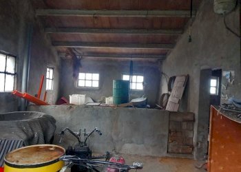 WhatsApp Image 2024-11-28 at 3.16.41 PM (4).jpeg - Terreno agricolo Via Savignano di Rigo Cicognaia 2, Sogliano al Rubicone - foto 4