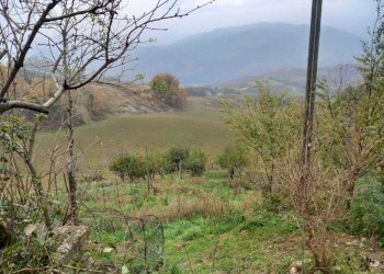 WhatsApp Image 2024-11-28 at 3.16.41 PM (3).jpeg - Terreno agricolo Via Savignano di Rigo Cicognaia 2, Sogliano al Rubicone - foto 6