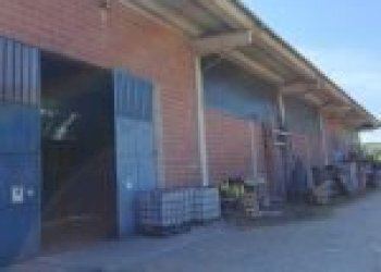 Capannone Santo Stefano Belbo - foto 1